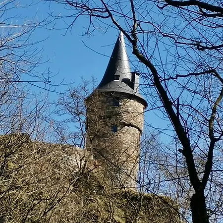 Hotel La Chaumiere Du Lac 3*
