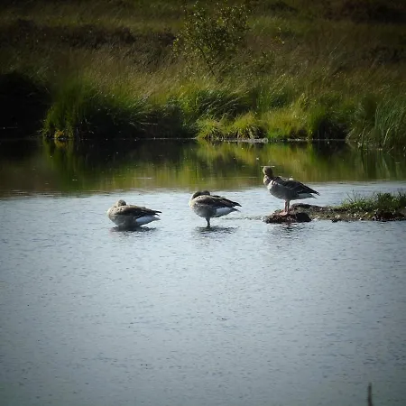 La Chaumiere Du Lac 3*