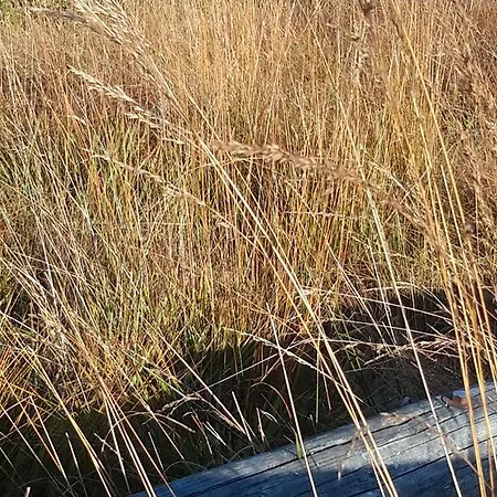 Szálloda La Chaumiere Du Lac